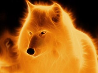 Arctic Wolf Fire
