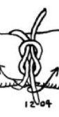 Knot 1204 - The Reef Knot